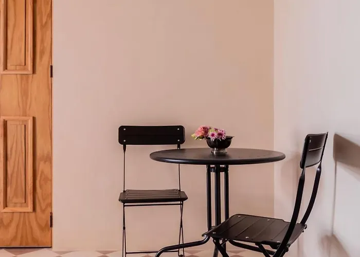 Historic Boutique Loft + Rooftop San Rafael Apartamento
